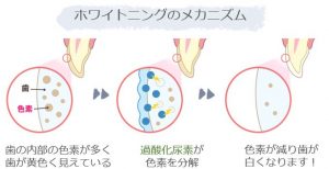 ホワイトニングのメカニズム